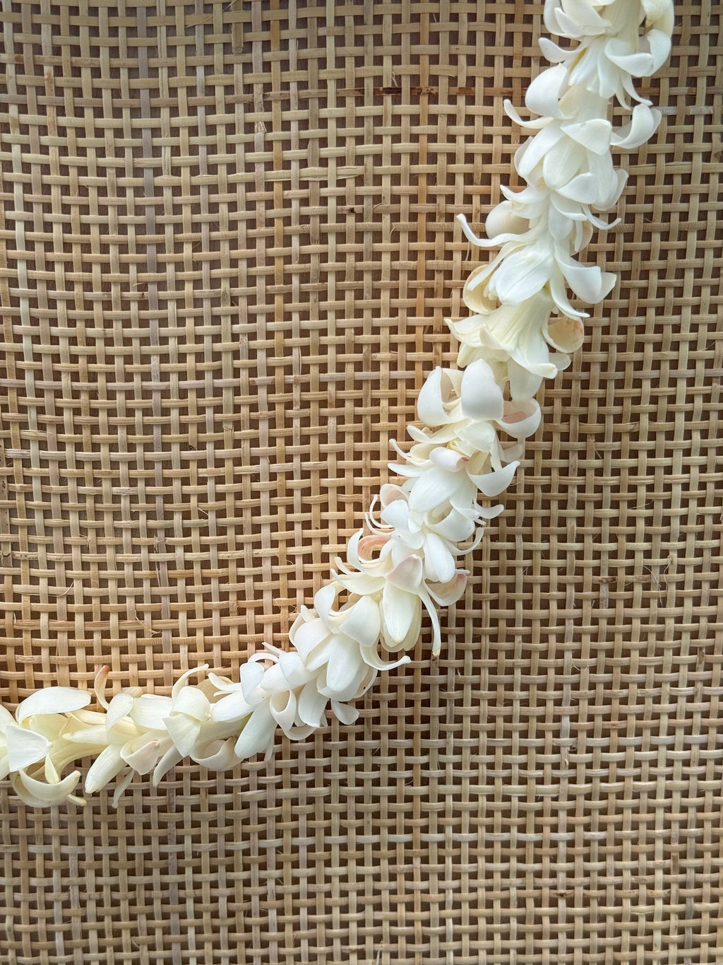 White tuberose lei hanging from wooden frame
